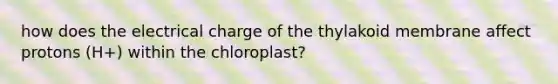 how does the electrical charge of the thylakoid membrane affect protons (H+) within the chloroplast?