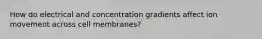 How do electrical and concentration gradients affect ion movement across cell membranes?