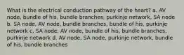 What is the electrical conduction pathway of the heart? a. AV node, bundle of his, bundle branches, purkinje network, SA node b. SA node, AV node, bundle branches, bundle of his, purkinje network c, SA node, AV node, bundle of his, bundle branches, purkinje network d. AV node, SA node, purkinje network, bundle of his, bundle branches