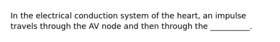 In the electrical conduction system of the heart, an impulse travels through the AV node and then through the __________.