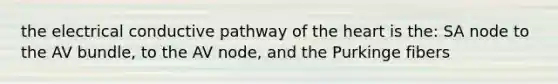 the electrical conductive pathway of the heart is the: SA node to the AV bundle, to the AV node, and the Purkinge fibers