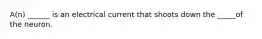 A(n) ______ is an electrical current that shoots down the _____of the neuron.