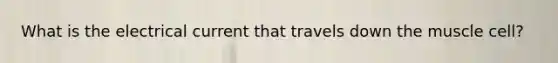 What is the electrical current that travels down the muscle cell?