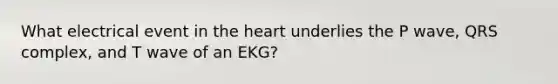 What electrical event in <a href='https://www.questionai.com/knowledge/kya8ocqc6o-the-heart' class='anchor-knowledge'>the heart</a> underlies the P wave, QRS complex, and T wave of an EKG?