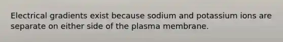 Electrical gradients exist because sodium and potassium ions are separate on either side of the plasma membrane.