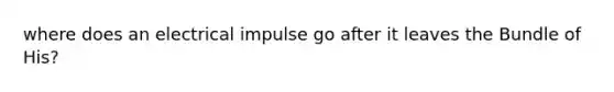 where does an electrical impulse go after it leaves the Bundle of His?