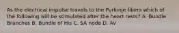 As the electrical impulse travels to the Purkinje fibers which of the following will be stimulated after the heart rests? A. Bundle Branches B. Bundle of His C. SA node D. AV