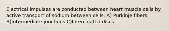 Electrical impulses are conducted between heart muscle cells by active transport of sodium between cells: A) Purkinje fibers B)Intermediate junctions C)Intercalated discs.