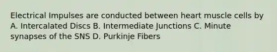 Electrical Impulses are conducted between heart muscle cells by A. Intercalated Discs B. Intermediate Junctions C. Minute synapses of the SNS D. Purkinje Fibers