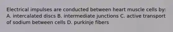 Electrical impulses are conducted between heart muscle cells by: A. intercalated discs B. intermediate junctions C. active transport of sodium between cells D. purkinje fibers