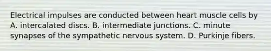 Electrical impulses are conducted between heart muscle cells by A. intercalated discs. B. intermediate junctions. C. minute synapses of the sympathetic nervous system. D. Purkinje fibers.