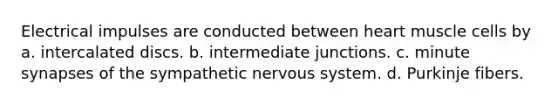 Electrical impulses are conducted between heart muscle cells by a. intercalated discs. b. intermediate junctions. c. minute synapses of the sympathetic <a href='https://www.questionai.com/knowledge/kThdVqrsqy-nervous-system' class='anchor-knowledge'>nervous system</a>. d. Purkinje fibers.