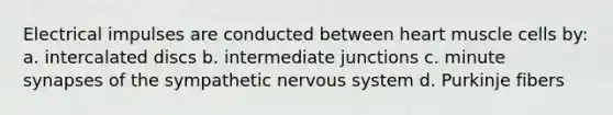 Electrical impulses are conducted between heart muscle cells by: a. intercalated discs b. intermediate junctions c. minute synapses of the sympathetic <a href='https://www.questionai.com/knowledge/kThdVqrsqy-nervous-system' class='anchor-knowledge'>nervous system</a> d. Purkinje fibers