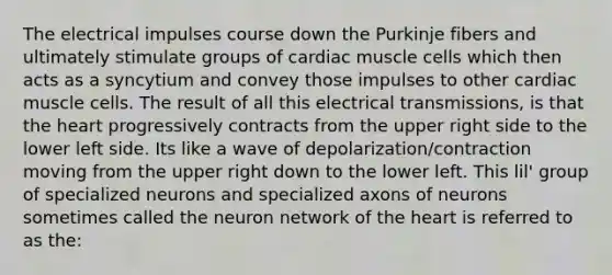 The electrical impulses course down the Purkinje fibers and ultimately stimulate groups of cardiac muscle cells which then acts as a syncytium and convey those impulses to other cardiac muscle cells. The result of all this electrical transmissions, is that <a href='https://www.questionai.com/knowledge/kya8ocqc6o-the-heart' class='anchor-knowledge'>the heart</a> progressively contracts from the upper right side to the lower left side. Its like a wave of depolarization/contraction moving from the upper right down to the lower left. This lil' group of specialized neurons and specialized axons of neurons sometimes called the neuron network of the heart is referred to as the: