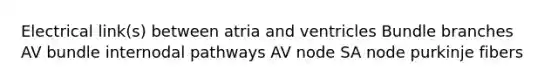 Electrical link(s) between atria and ventricles Bundle branches AV bundle internodal pathways AV node SA node purkinje fibers