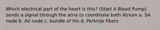 Which electrical part of the heart is this? (Start A Blood Pump) sends a signal through the atria to coordinate both Atrium a. SA node b. AV node c. bundle of His d. Perkinje fibers