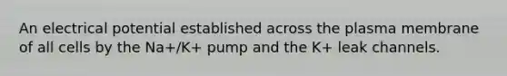 An electrical potential established across the plasma membrane of all cells by the Na+/K+ pump and the K+ leak channels.