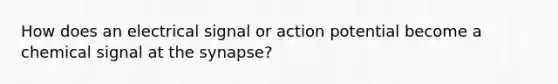 How does an electrical signal or action potential become a chemical signal at <a href='https://www.questionai.com/knowledge/kTCXU7vaKU-the-synapse' class='anchor-knowledge'>the synapse</a>?