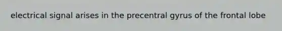electrical signal arises in the precentral gyrus of the frontal lobe