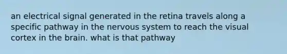 an electrical signal generated in the retina travels along a specific pathway in the nervous system to reach the visual cortex in the brain. what is that pathway