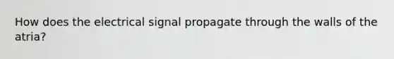 How does the electrical signal propagate through the walls of the atria?