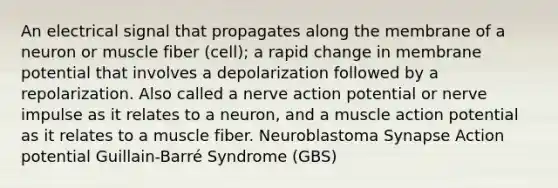 An electrical signal that propagates along the membrane of a neuron or muscle fiber (cell); a rapid change in membrane potential that involves a depolarization followed by a repolarization. Also called a nerve action potential or nerve impulse as it relates to a neuron, and a muscle action potential as it relates to a muscle fiber. Neuroblastoma Synapse Action potential Guillain-Barré Syndrome (GBS)