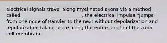 electrical signals travel along myelinated axons via a method called ____________ _____________, the electrical impulse "jumps" from one node of Ranvier to the next without depolarization and repolarization taking place along the entire length of the axon cell membrane