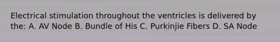 Electrical stimulation throughout the ventricles is delivered by the: A. AV Node B. Bundle of His C. Purkinjie Fibers D. SA Node