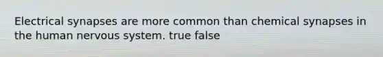 Electrical synapses are more common than chemical synapses in the human nervous system. true false