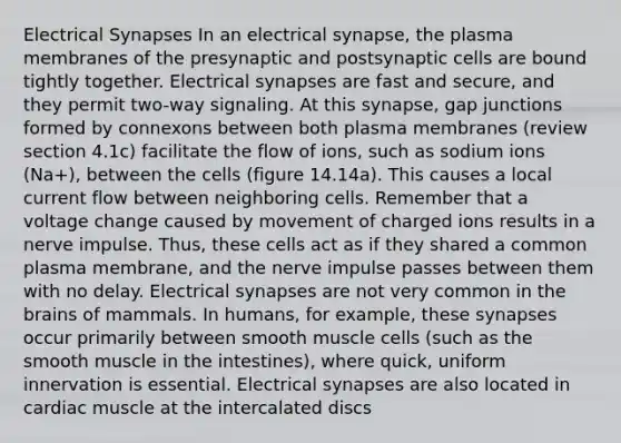 Electrical Synapses In an electrical synapse, the plasma membranes of the presynaptic and postsynaptic cells are bound tightly together. Electrical synapses are fast and secure, and they permit two-way signaling. At this synapse, gap junctions formed by connexons between both plasma membranes (review section 4.1c) facilitate the flow of ions, such as sodium ions (Na+), between the cells (figure 14.14a). This causes a local current flow between neighboring cells. Remember that a voltage change caused by movement of charged ions results in a nerve impulse. Thus, these cells act as if they shared a common plasma membrane, and the nerve impulse passes between them with no delay. Electrical synapses are not very common in the brains of mammals. In humans, for example, these synapses occur primarily between smooth muscle cells (such as the smooth muscle in the intestines), where quick, uniform innervation is essential. Electrical synapses are also located in cardiac muscle at the intercalated discs