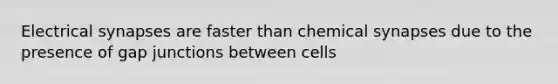 Electrical synapses are faster than chemical synapses due to the presence of gap junctions between cells