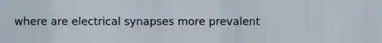 where are electrical synapses more prevalent
