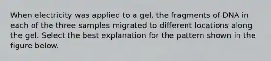 When electricity was applied to a gel, the fragments of DNA in each of the three samples migrated to different locations along the gel. Select the best explanation for the pattern shown in the figure below.