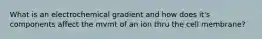 What is an electrochemical gradient and how does it's components affect the mvmt of an ion thru the cell membrane?