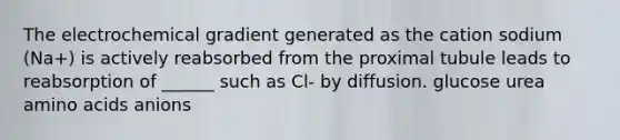 The electrochemical gradient generated as the cation sodium (Na+) is actively reabsorbed from the proximal tubule leads to reabsorption of ______ such as Cl- by diffusion. glucose urea amino acids anions