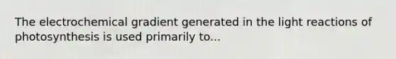 The electrochemical gradient generated in the light reactions of photosynthesis is used primarily to...