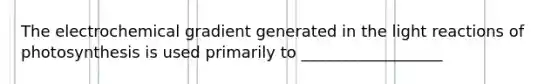 The electrochemical gradient generated in the light reactions of photosynthesis is used primarily to __________________