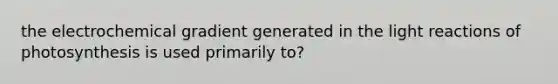 the electrochemical gradient generated in the light reactions of photosynthesis is used primarily to?