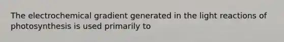 The electrochemical gradient generated in the light reactions of photosynthesis is used primarily to