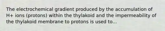 The electrochemical gradient produced by the accumulation of H+ ions (protons) within the thylakoid and the impermeability of the thylakoid membrane to protons is used to...