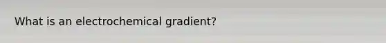 What is an electrochemical gradient?