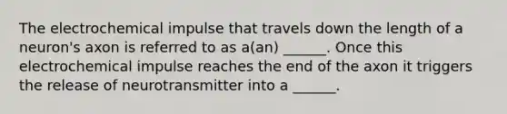 The electrochemical impulse that travels down the length of a neuron's axon is referred to as a(an) ______. Once this electrochemical impulse reaches the end of the axon it triggers the release of neurotransmitter into a ______.