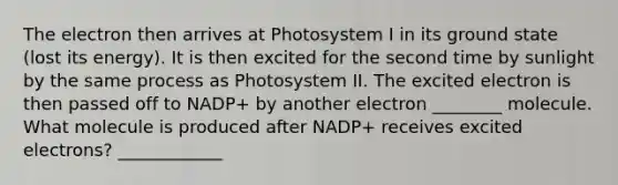 The electron then arrives at Photosystem I in its ground state (lost its energy). It is then excited for the second time by sunlight by the same process as Photosystem II. The excited electron is then passed off to NADP+ by another electron ________ molecule. What molecule is produced after NADP+ receives excited electrons? ____________