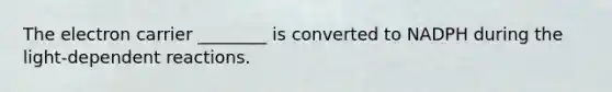 The electron carrier ________ is converted to NADPH during the light-dependent reactions.