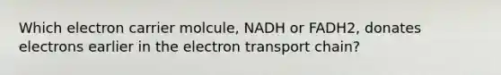 Which electron carrier molcule, NADH or FADH2, donates electrons earlier in the electron transport chain?