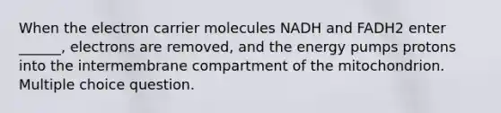 When the electron carrier molecules NADH and FADH2 enter ______, electrons are removed, and the energy pumps protons into the intermembrane compartment of the mitochondrion. Multiple choice question.