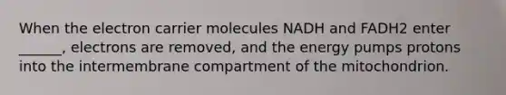 When the electron carrier molecules NADH and FADH2 enter ______, electrons are removed, and the energy pumps protons into the intermembrane compartment of the mitochondrion.