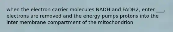 when the electron carrier molecules NADH and FADH2, enter ___, electrons are removed and the energy pumps protons into the inter membrane compartment of the mitochondrion