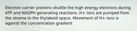 Electron carrier proteins shuttle the high energy electrons during ATP and NADPH generating reactions. H+ ions are pumped from the stroma to the thylakoid space. Movement of H+ ions is against the concentration gradient