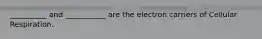 __________ and ___________ are the electron carriers of Cellular Respiration.